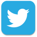 twitter-icon