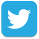 twitter-icon