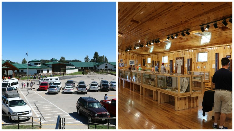 crazy horse building