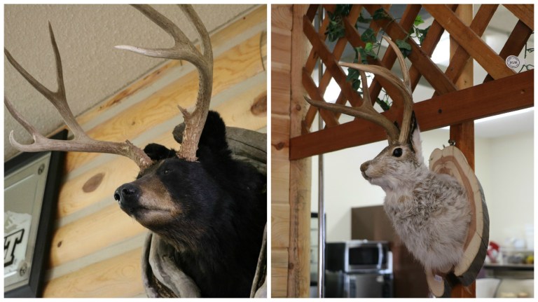 Restaurant Devils Tower